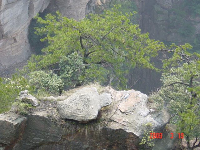 DSC00023.JPG