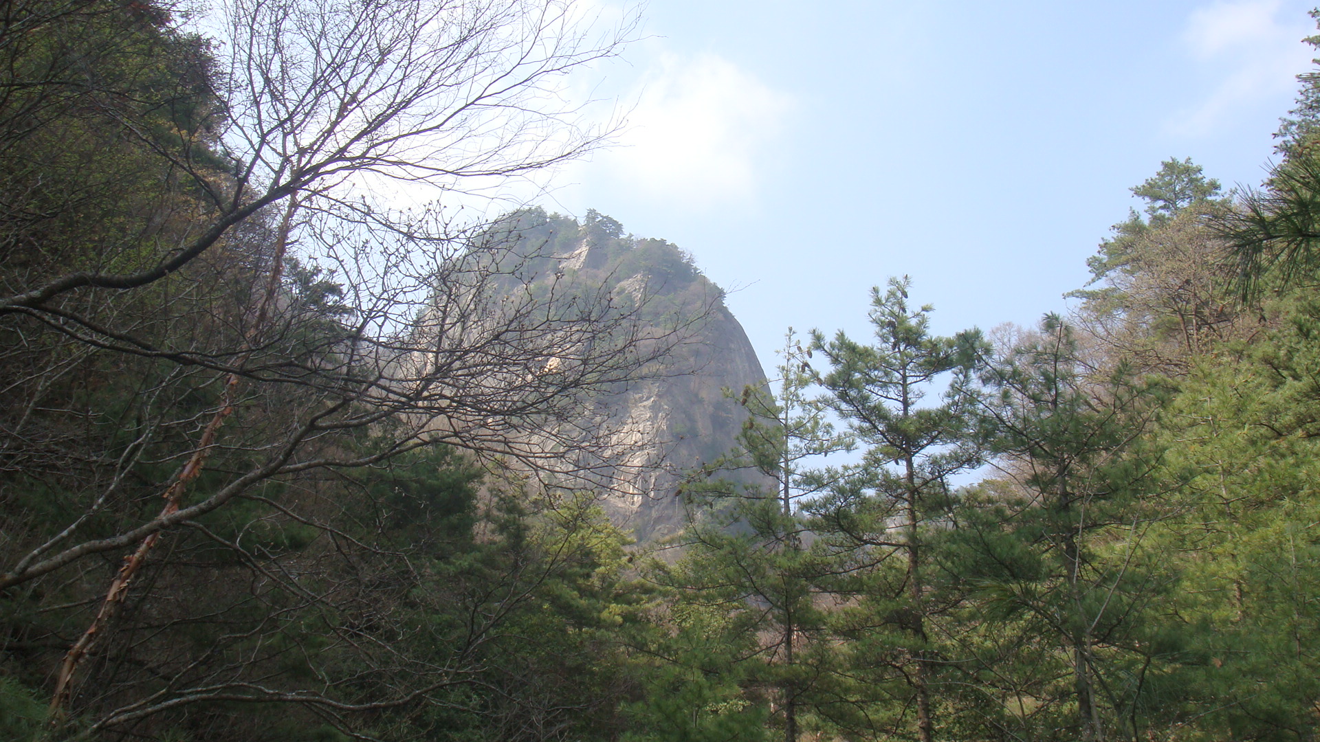 DSC05430.JPG