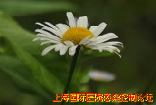QQ截图未命名.png