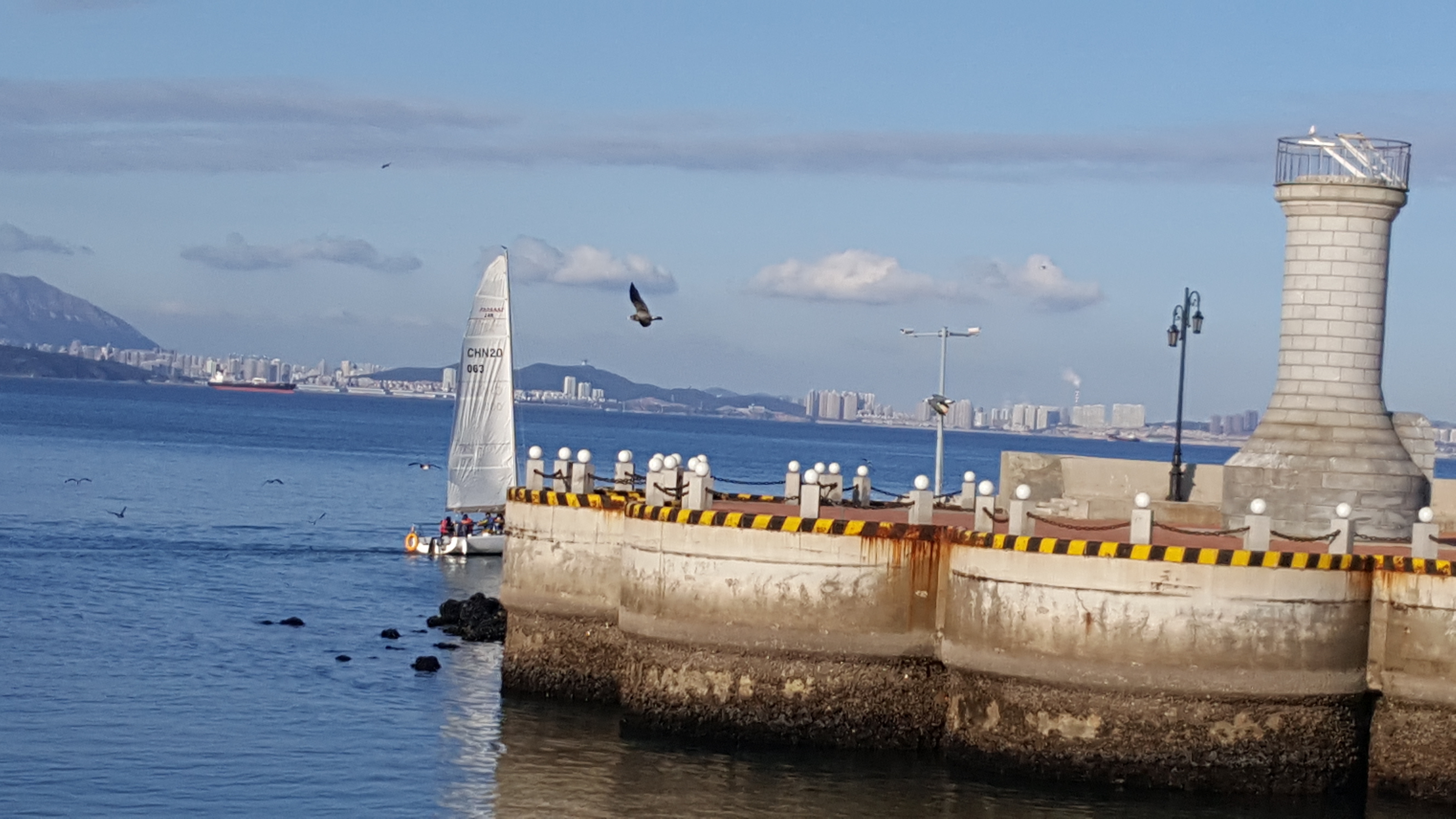 船来船往的港湾3.jpg